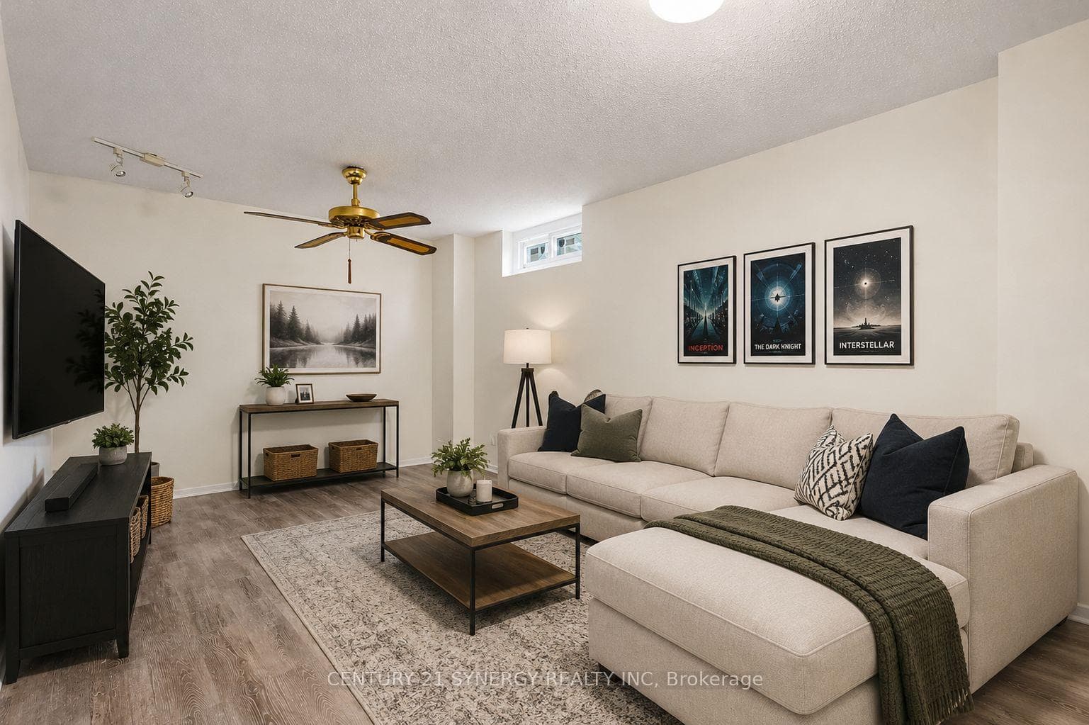 Basement Virtually Staged