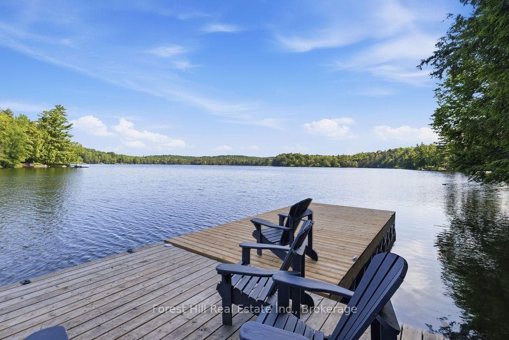 Views of the Lake from Pine Dock