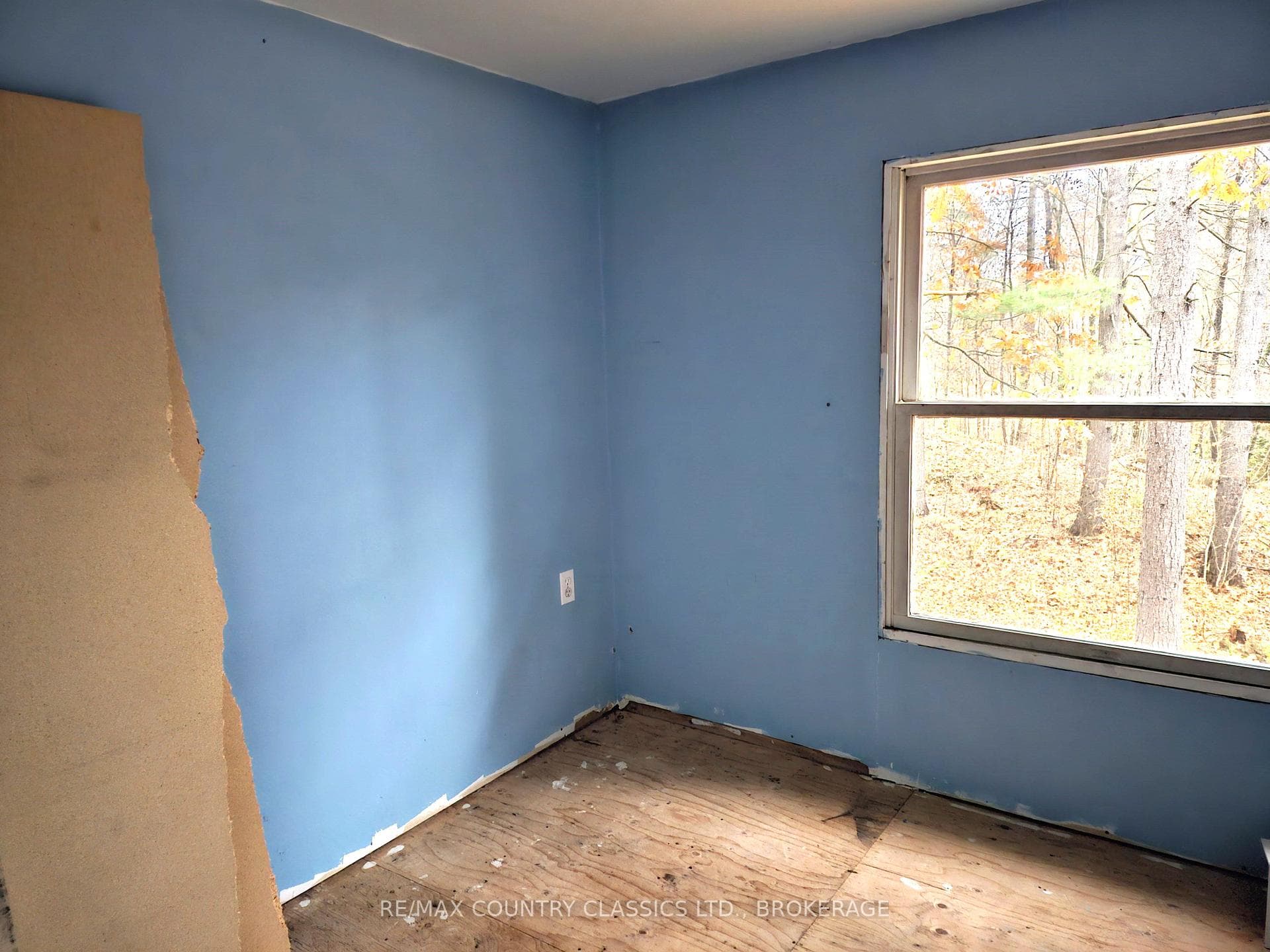1116 Greer Road photo 19