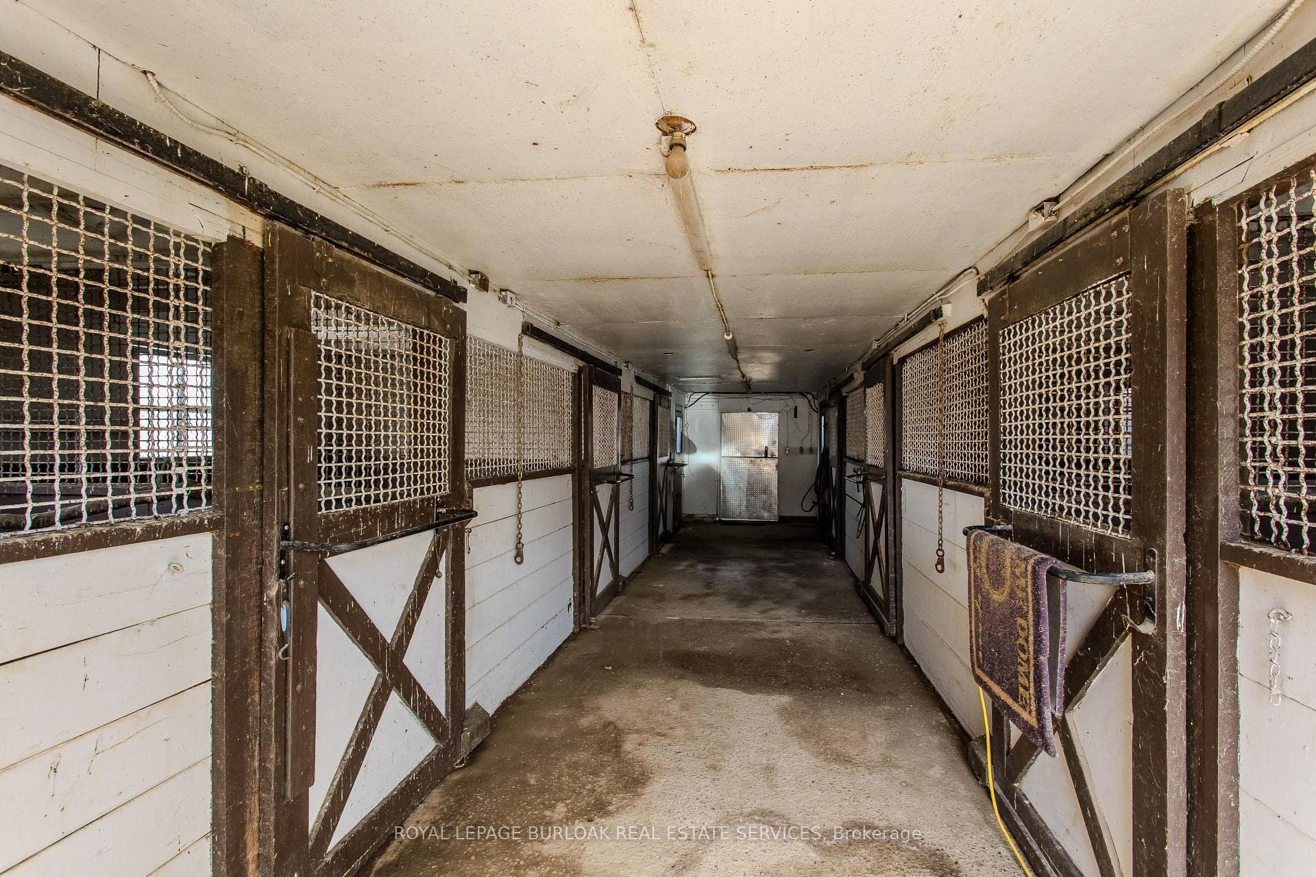 4375 Hall Road photo 29