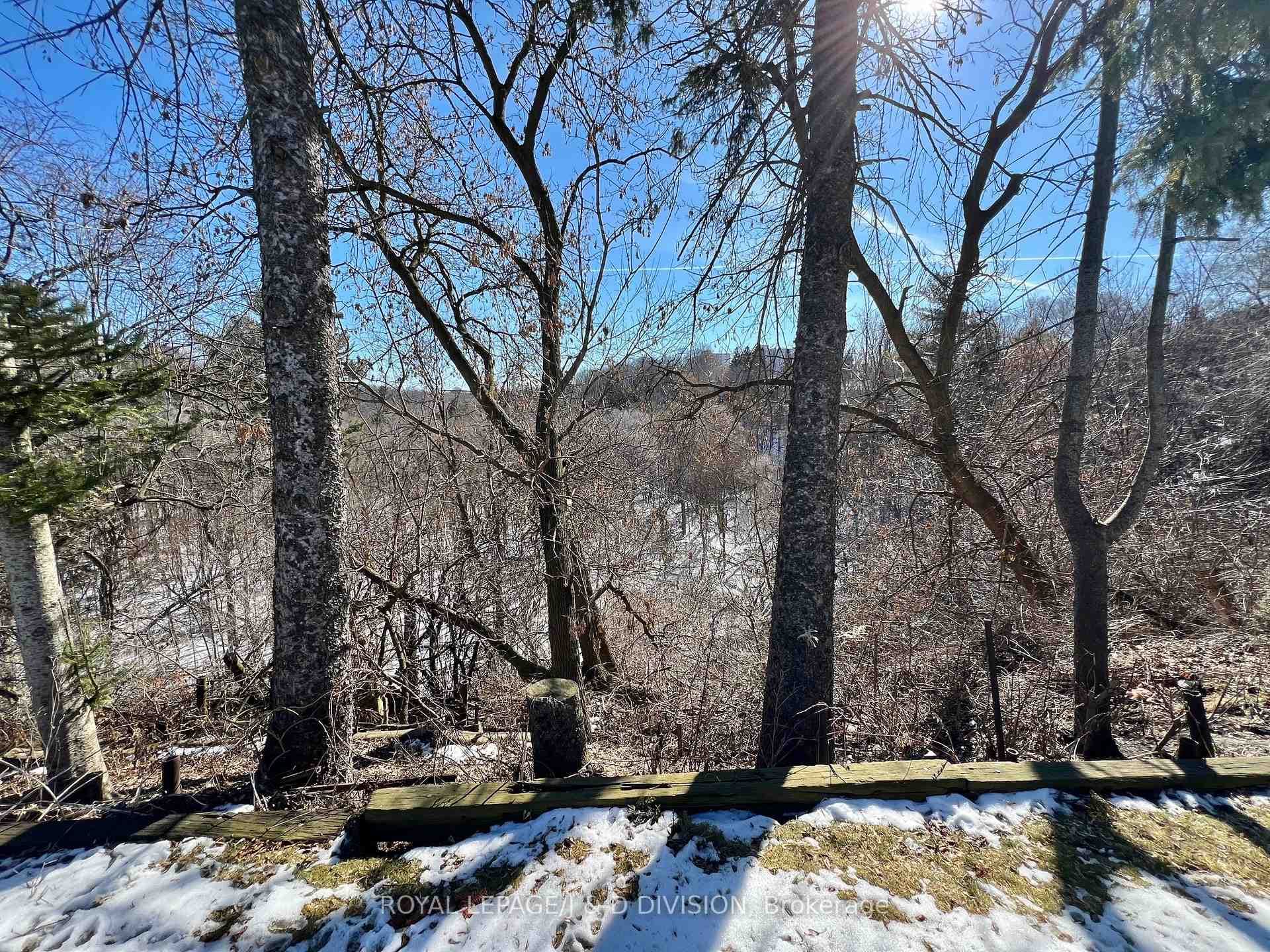 47 Florens Avenue photo 22