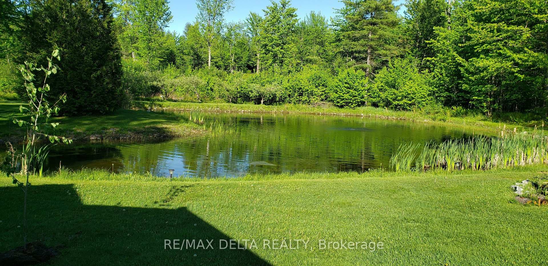 286 County Road 19 Road photo 21