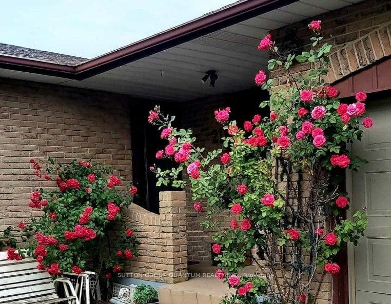 21 DRURY Crescent photo 1