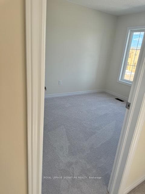 53 Conboy Drive photo 20