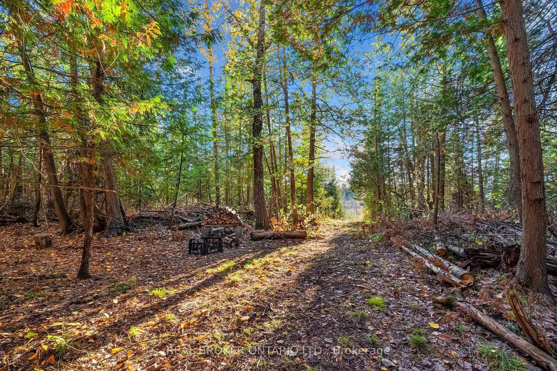 967 Upper Dwyer Hill Road photo 47