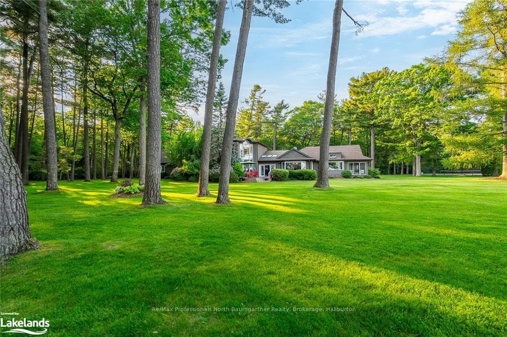 11 IRENE Avenue photo 41