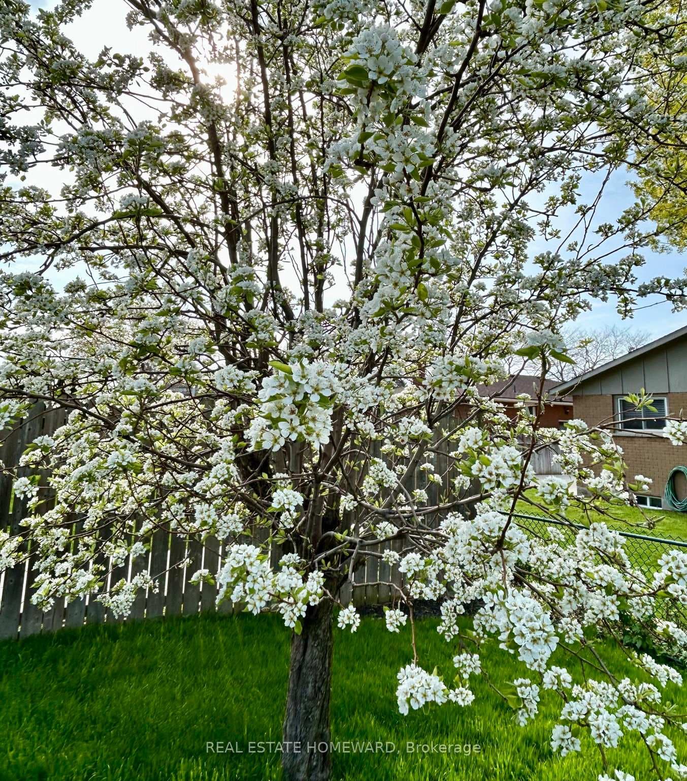 47 Densgrove Drive photo 46