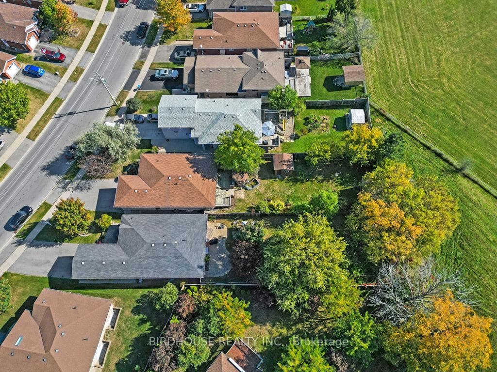 341 Mary Street photo 36