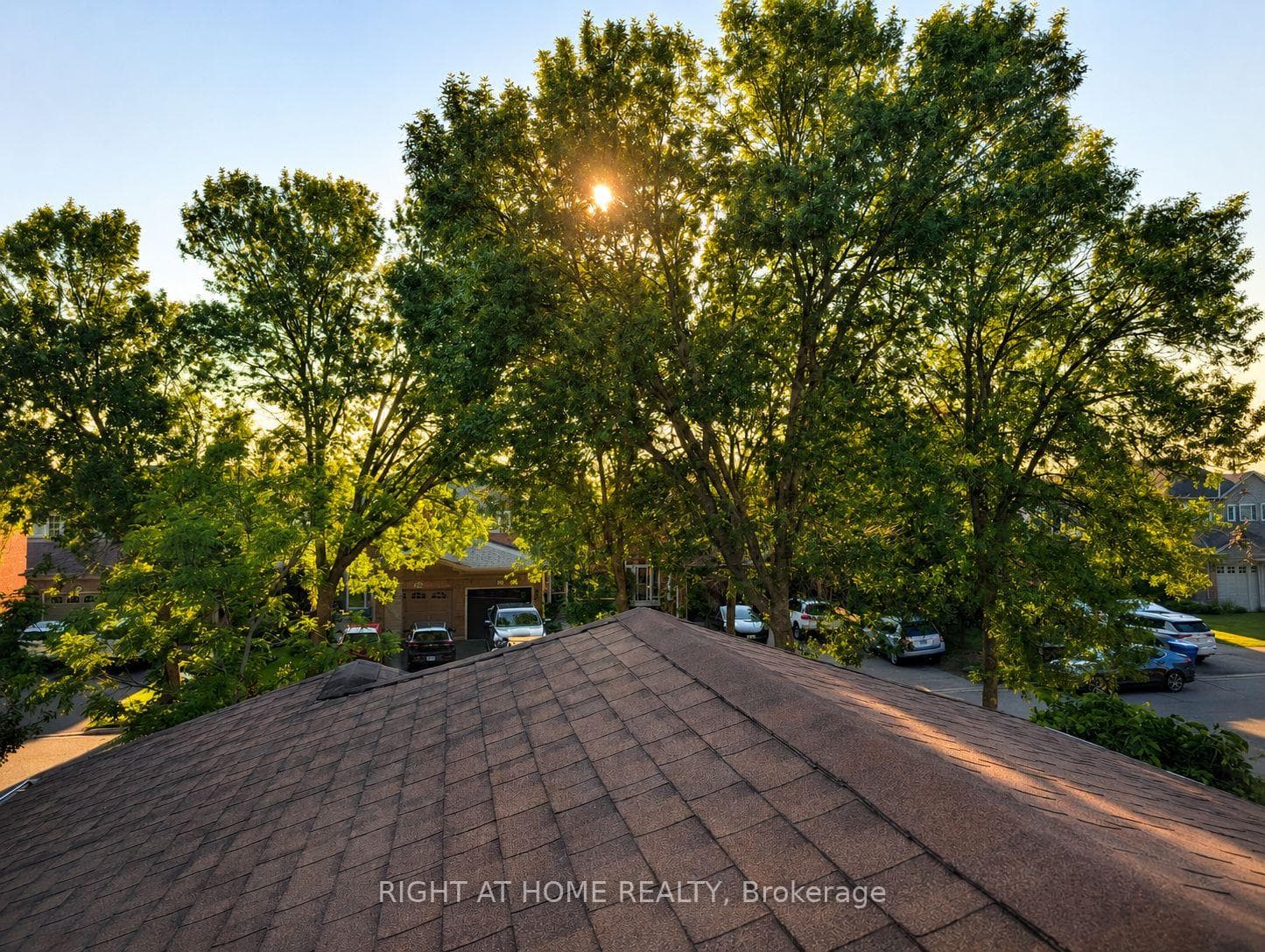 267 Pinnacle Trail photo 6