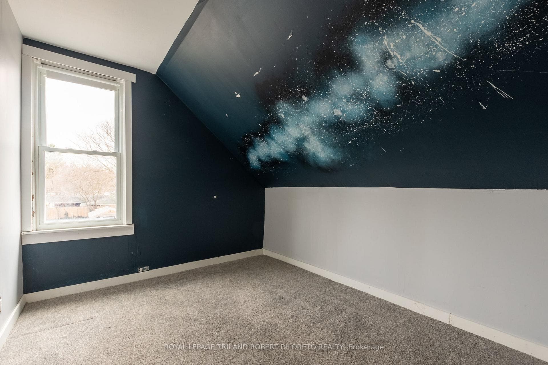 119 Flora Street photo 15