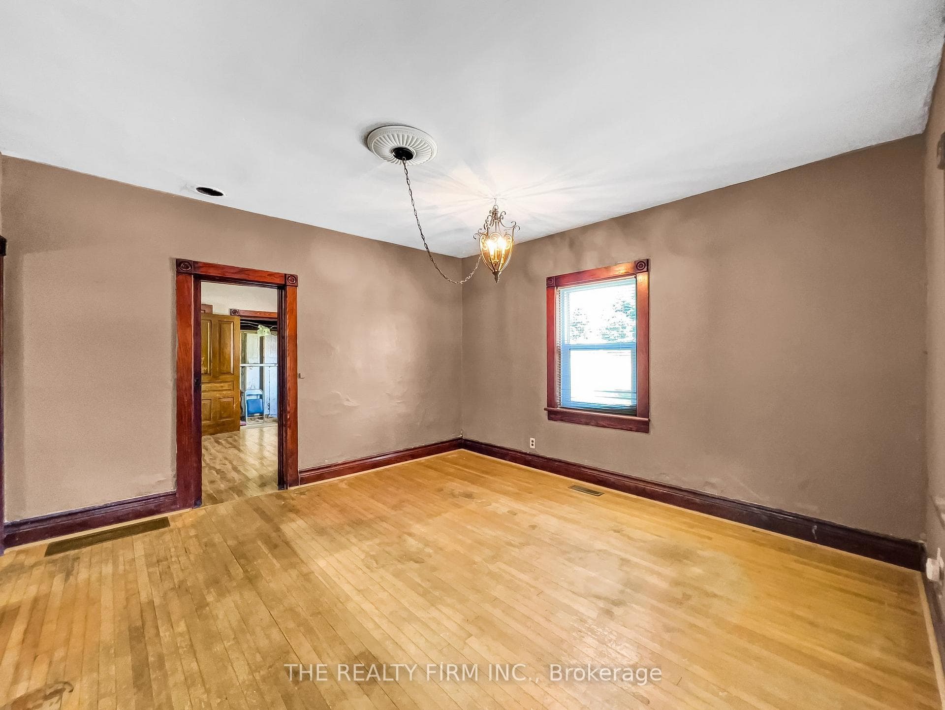 7 David Street photo 15