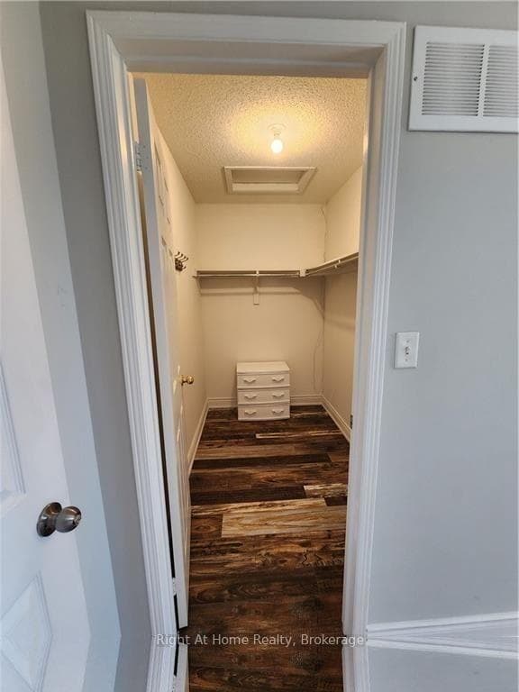2070 White Dove Circle photo 18
