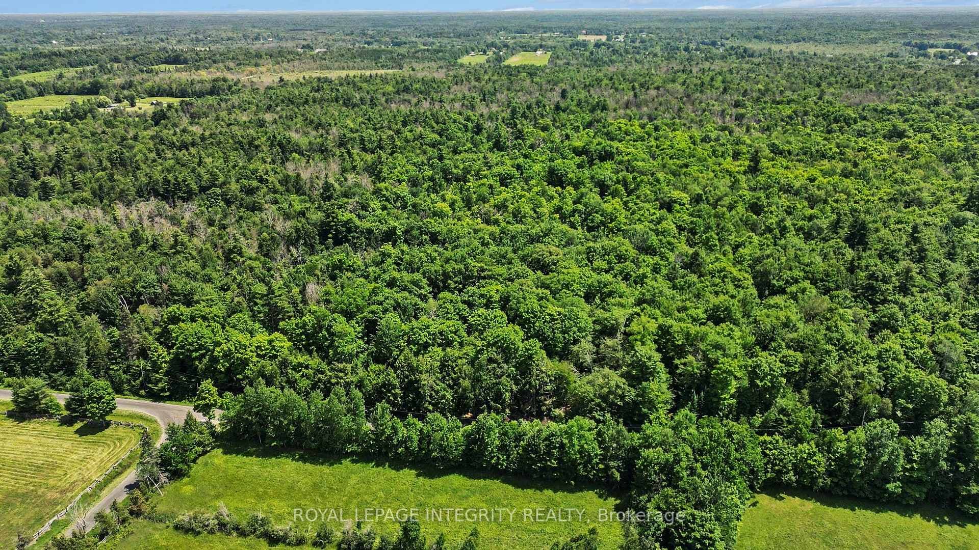 Beautiful treed, dry land.