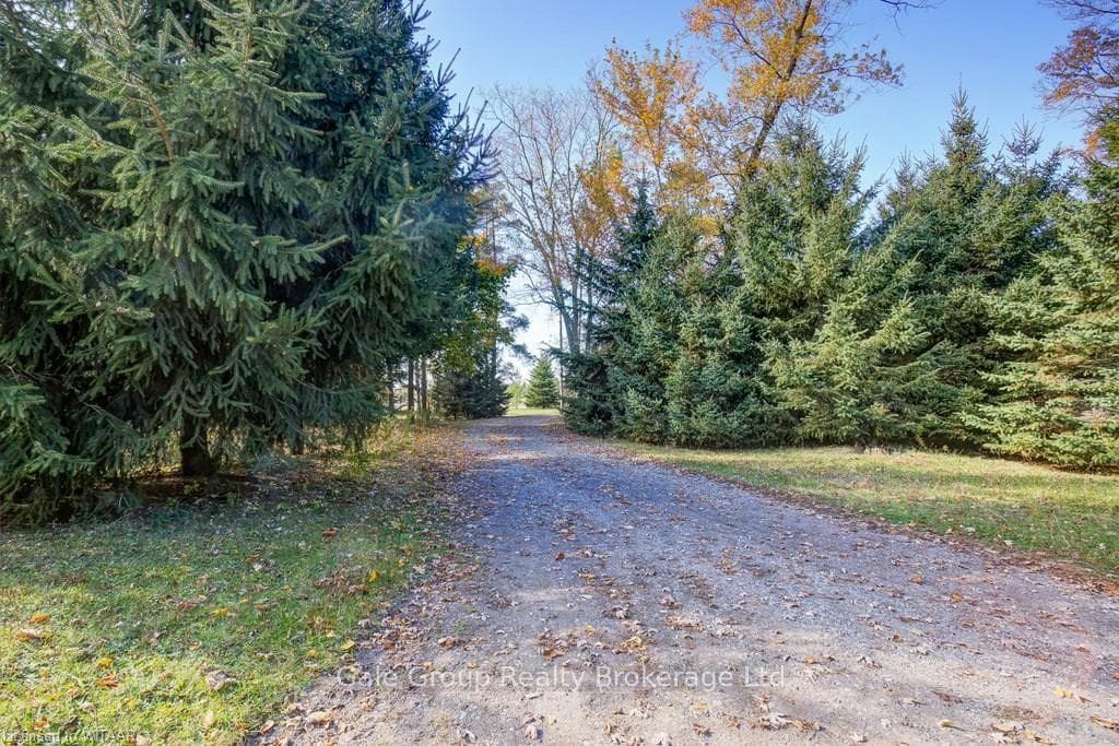 935886 BLENHEIM Road photo 21