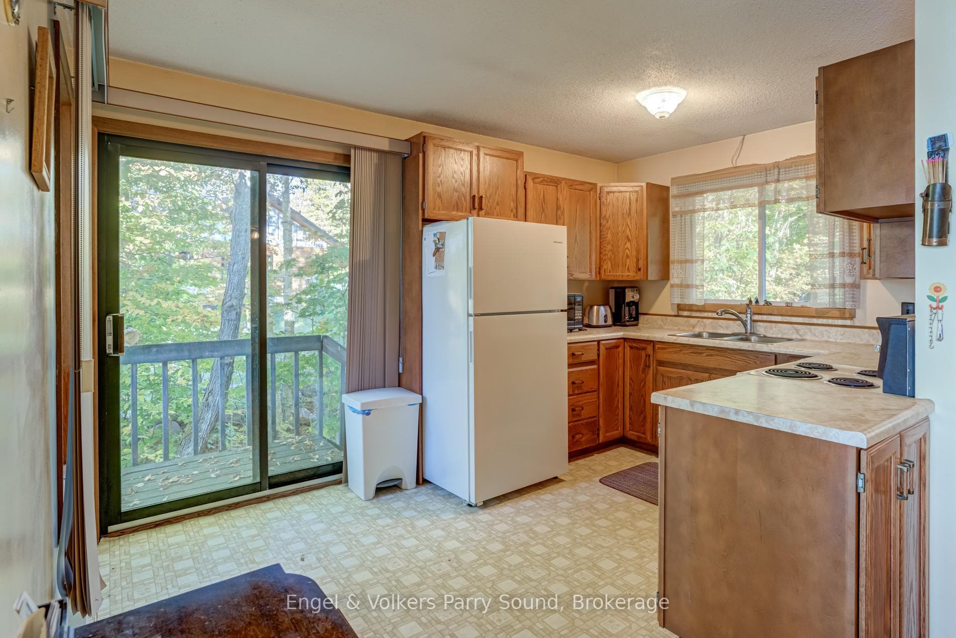 5 Beech Avenue photo 15