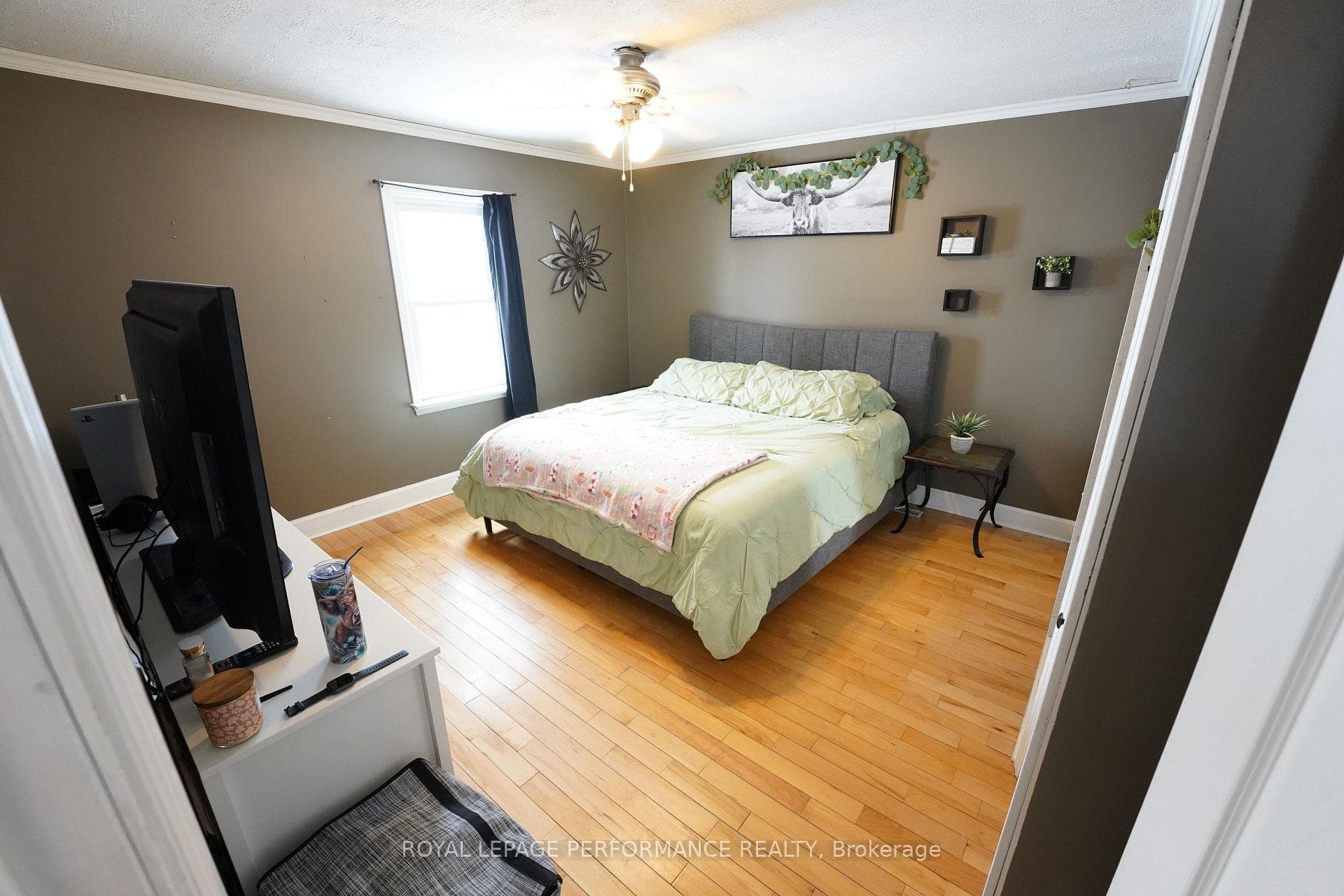 209 Anthony Street photo 15