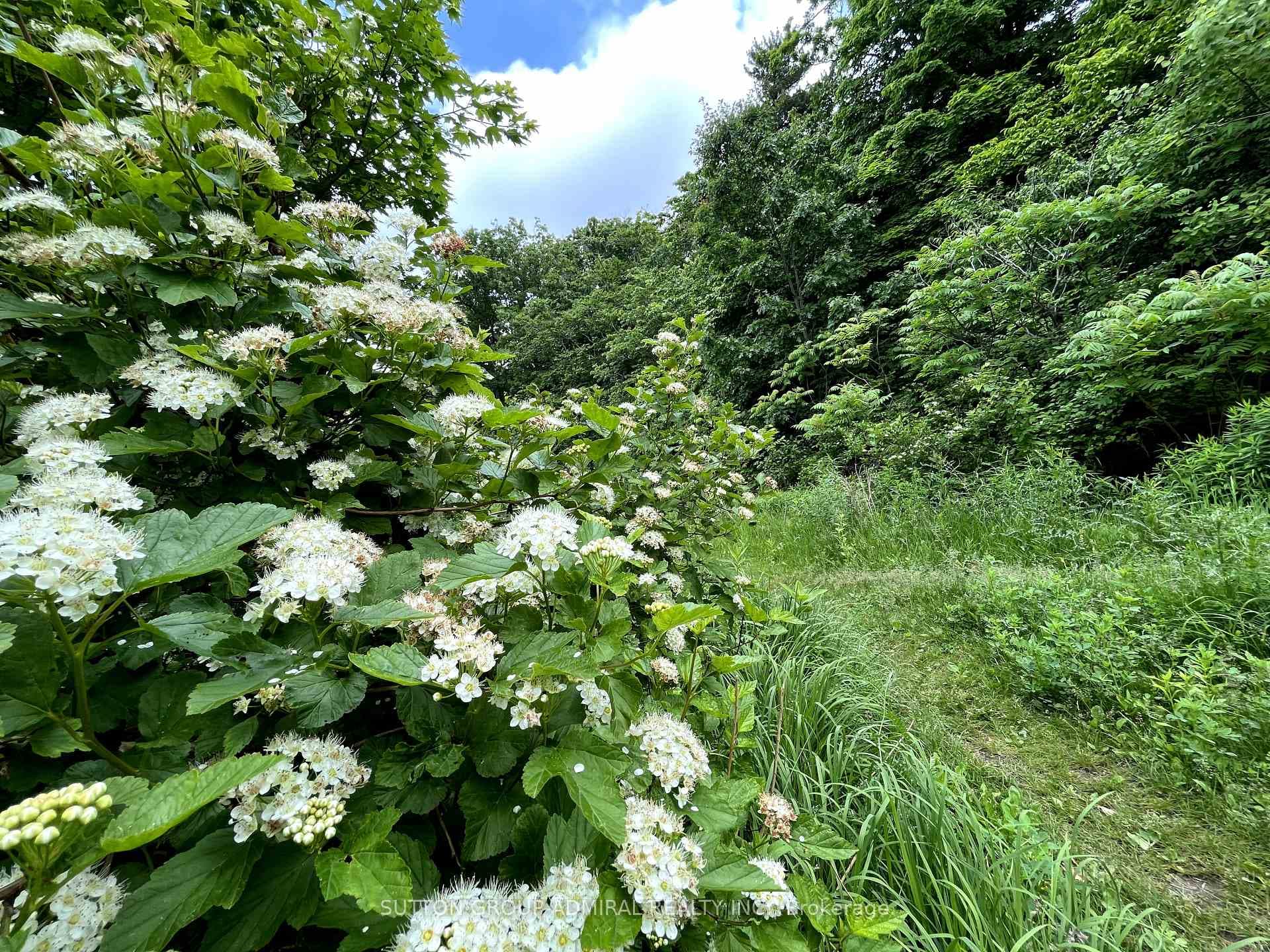 8 Golden Forest Road photo 39