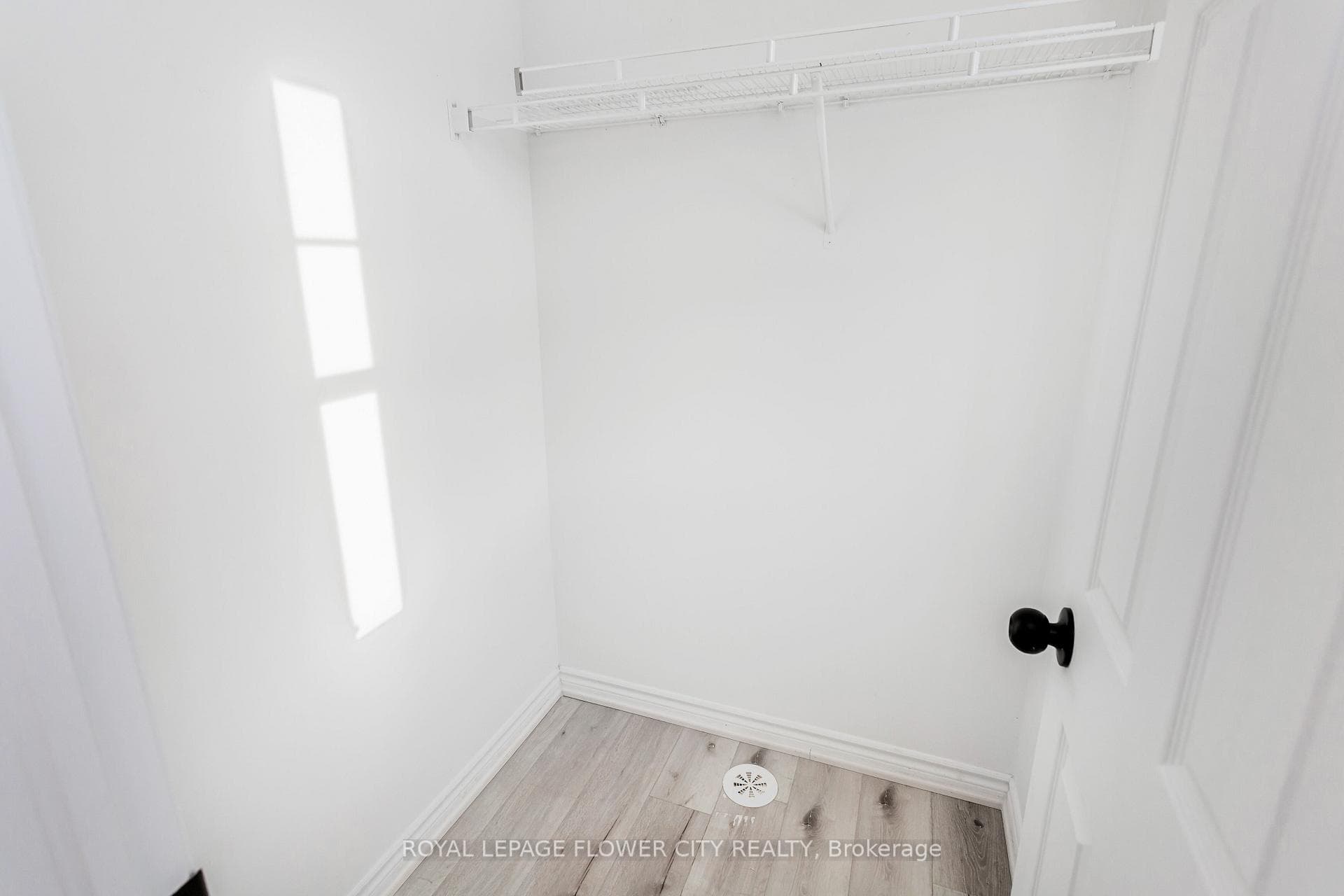 41 Vanhorne Close photo 45