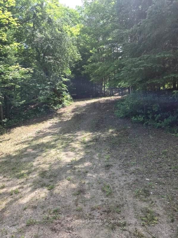 1326 Musclow Greenview N/A photo 14
