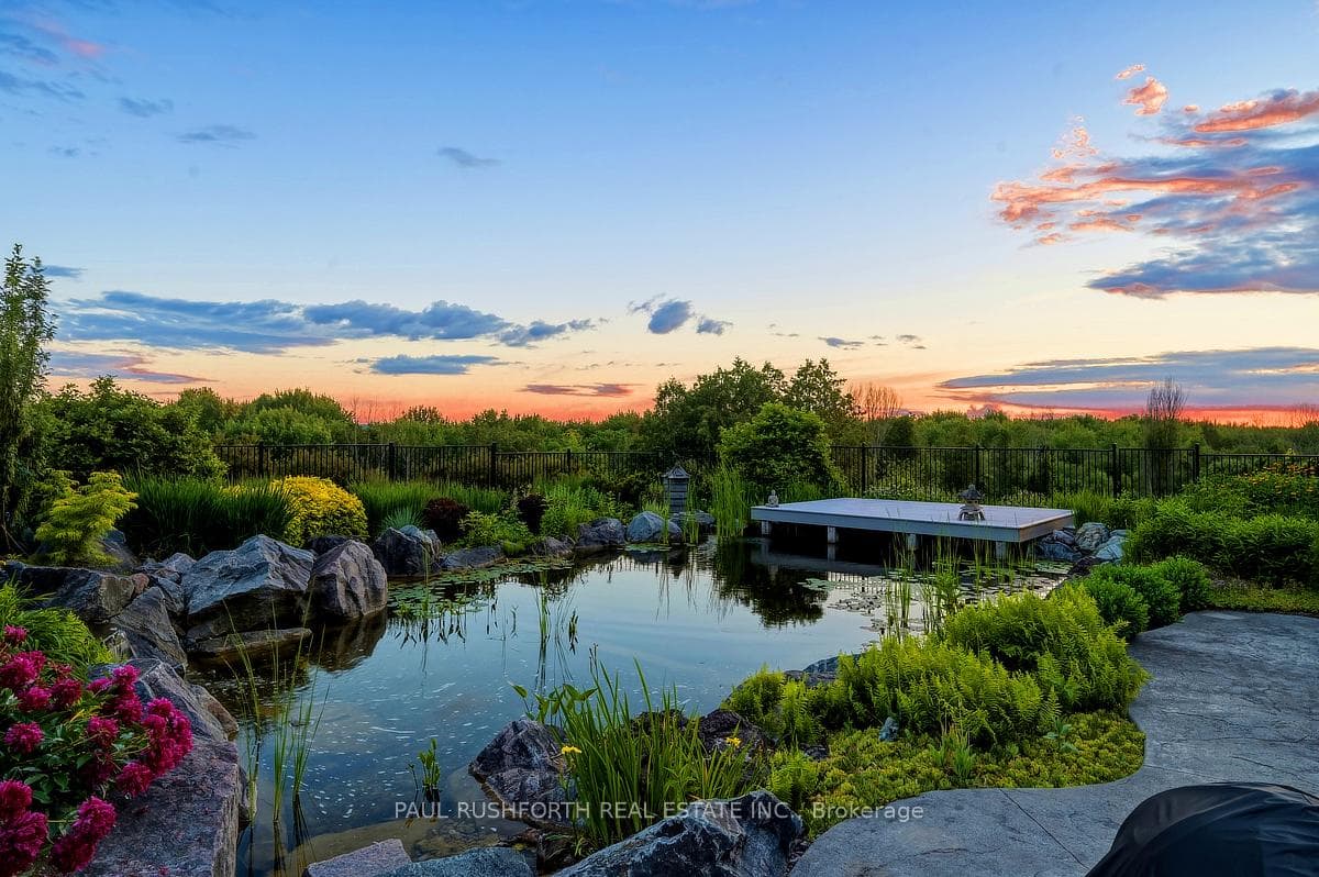 Backyard - Sunset View