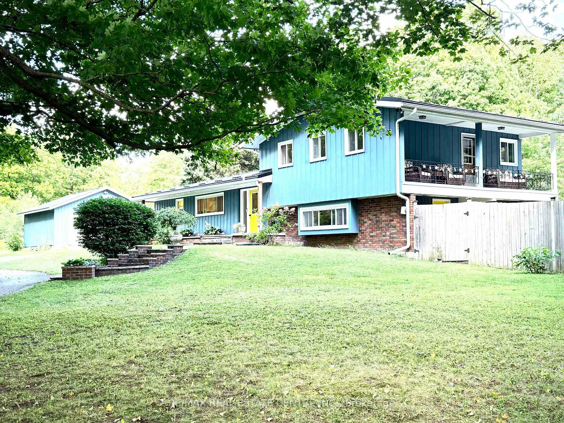 161 Inkerman Street photo 5