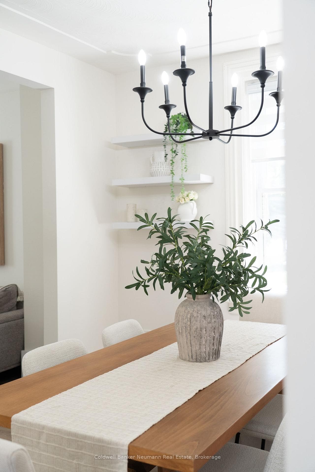 151 Frederick Street photo 16