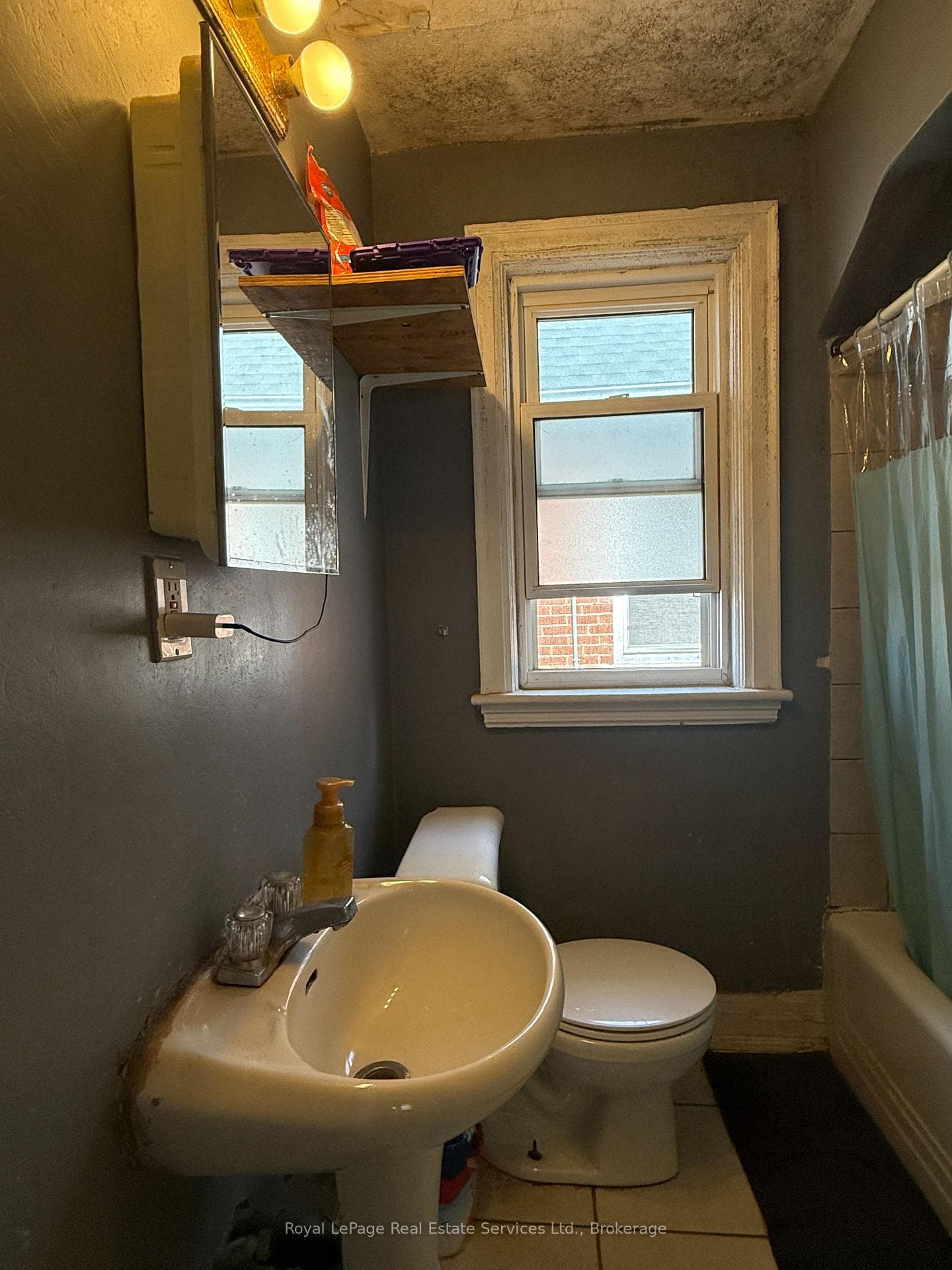 129 Tolton Avenue photo 11