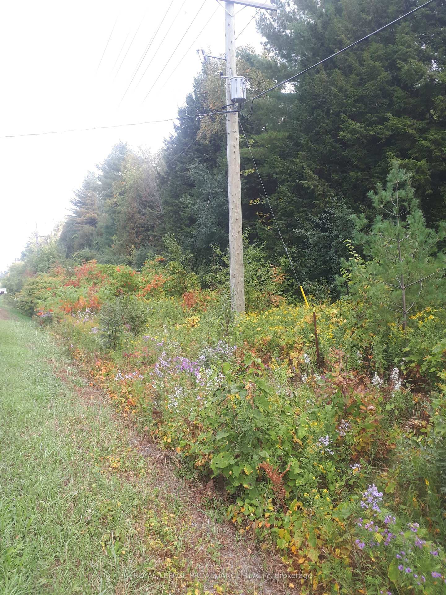 PT LT 2 Ganaraska Road photo 5