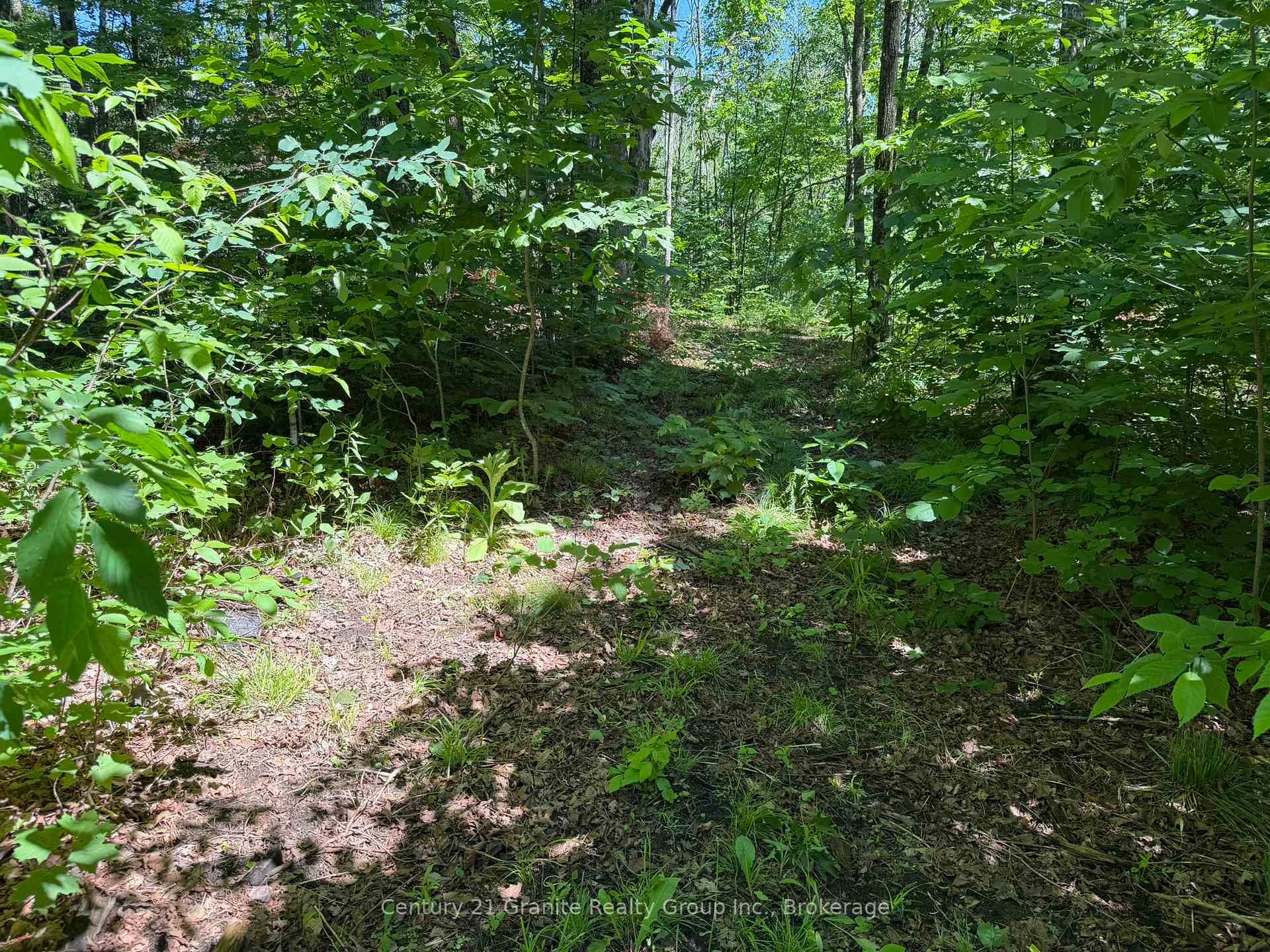1048 Bacon Road photo 37