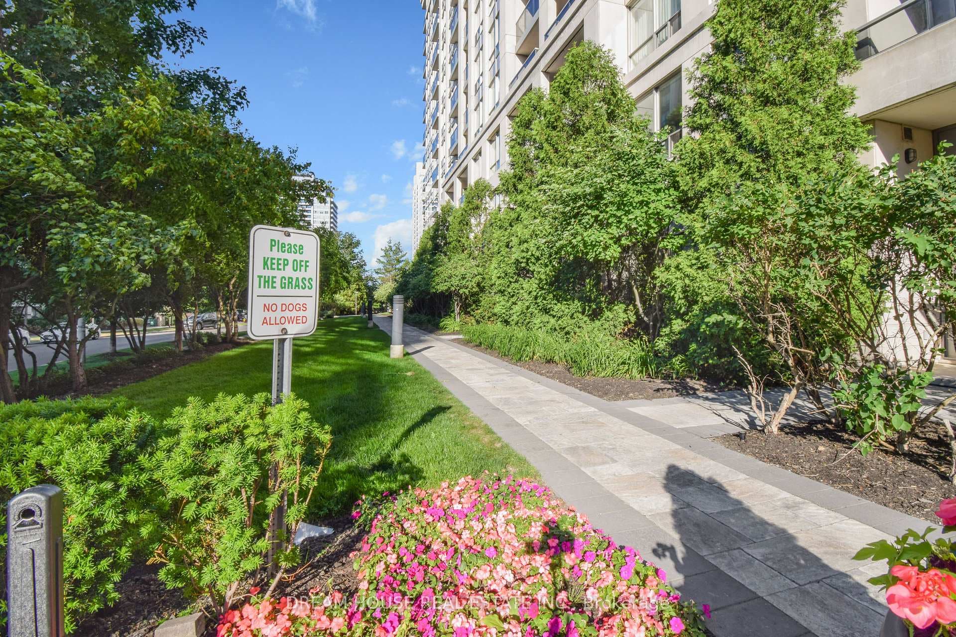 50 Disera Drive Unit 114 photo 27