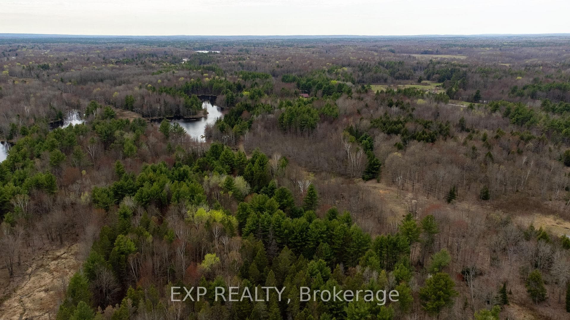 1802 Flinton Road photo 31