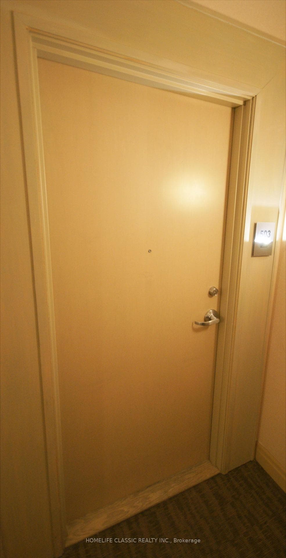 Unit Door