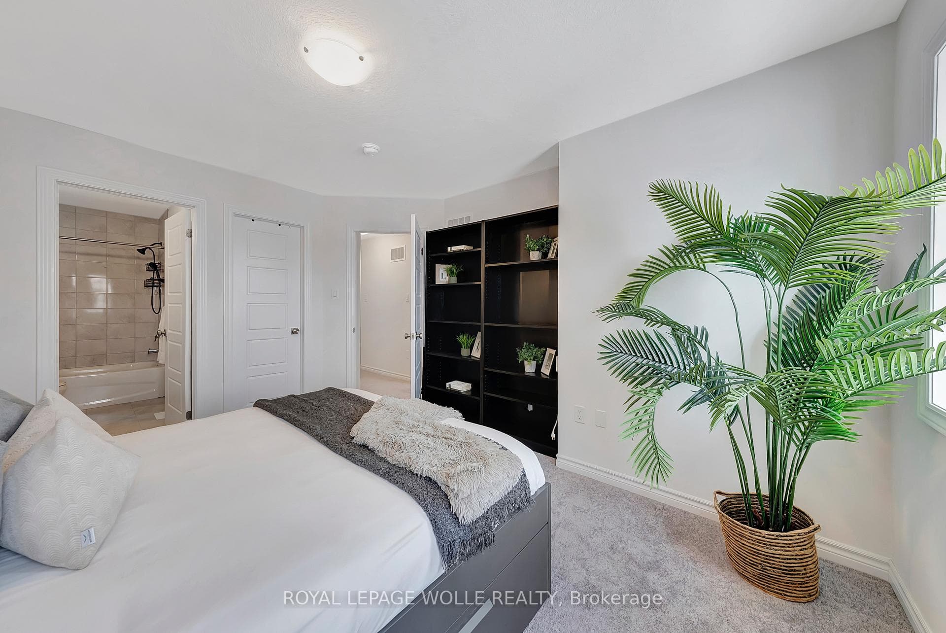 13 Dewberry Drive photo 16