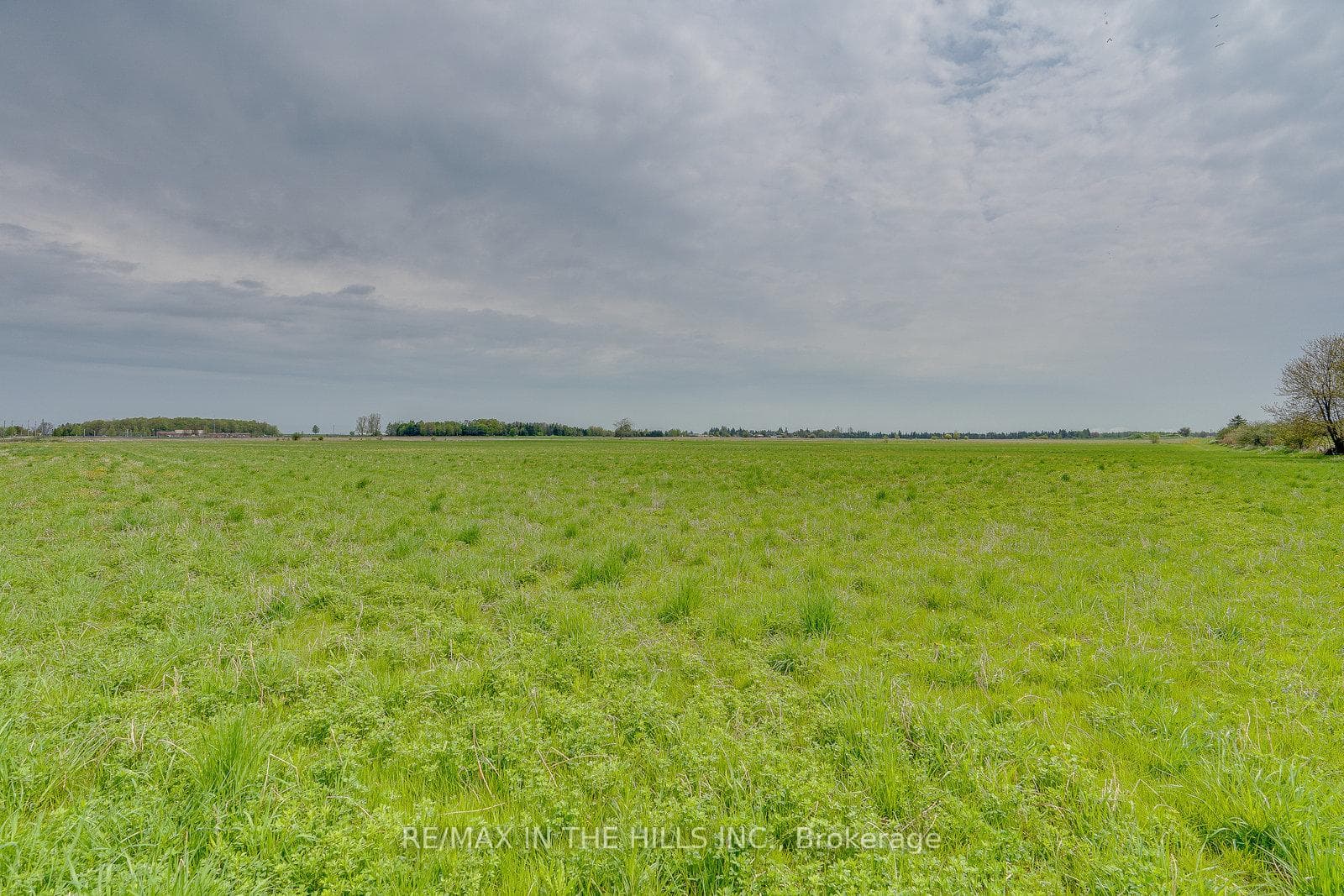284342 Dufferin County 10 Road photo 7