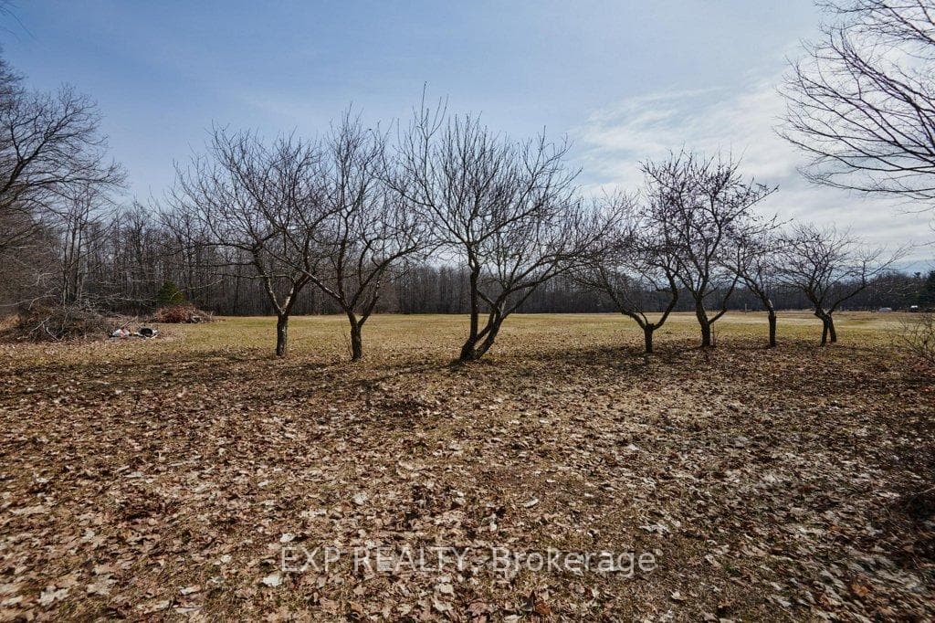 4051 County 18 Road photo 31