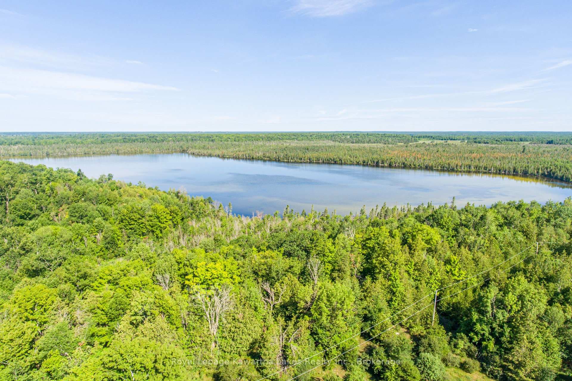 164 Sugar Bush Road photo 11