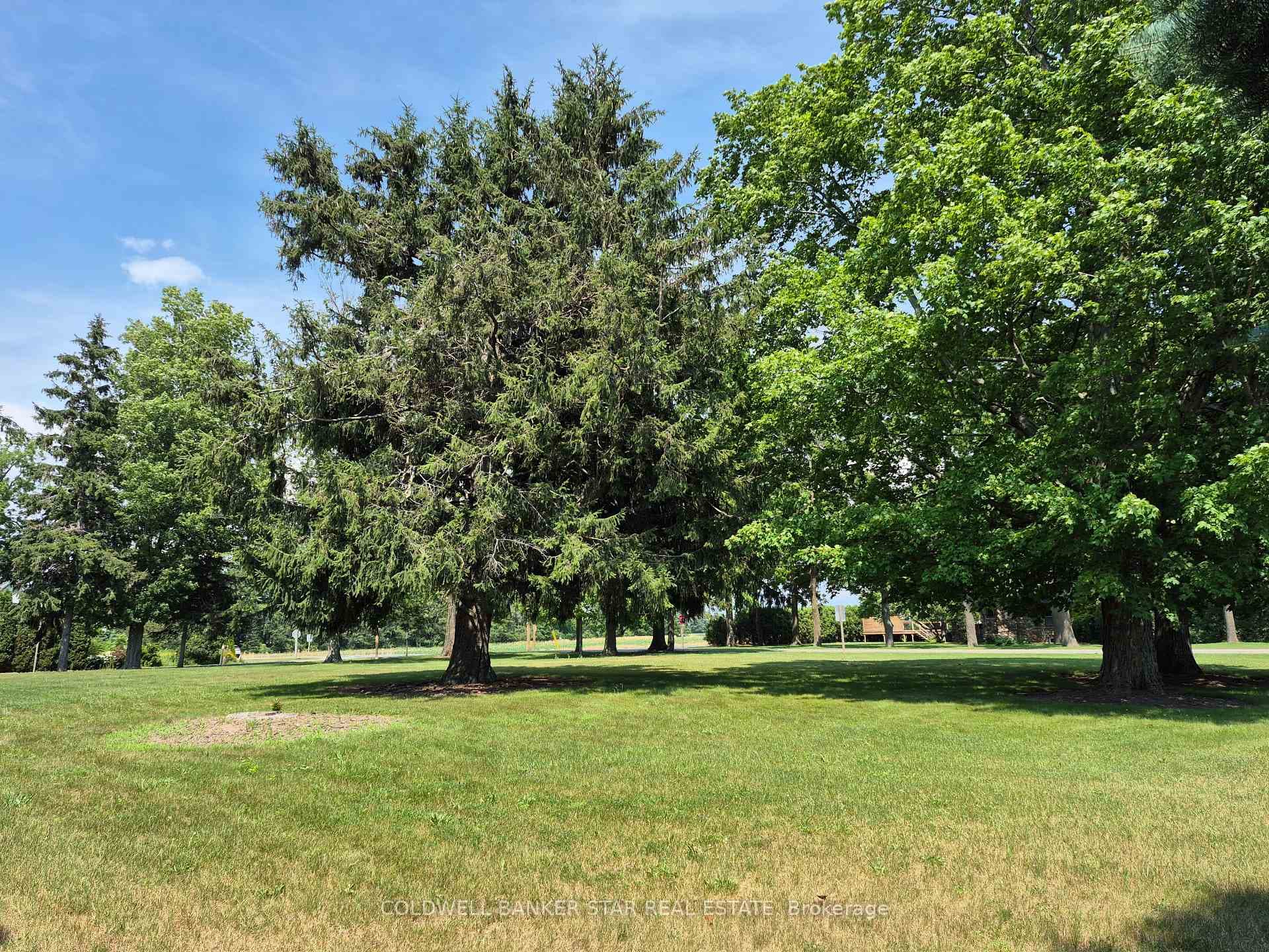 8303 Rogers Road photo 5