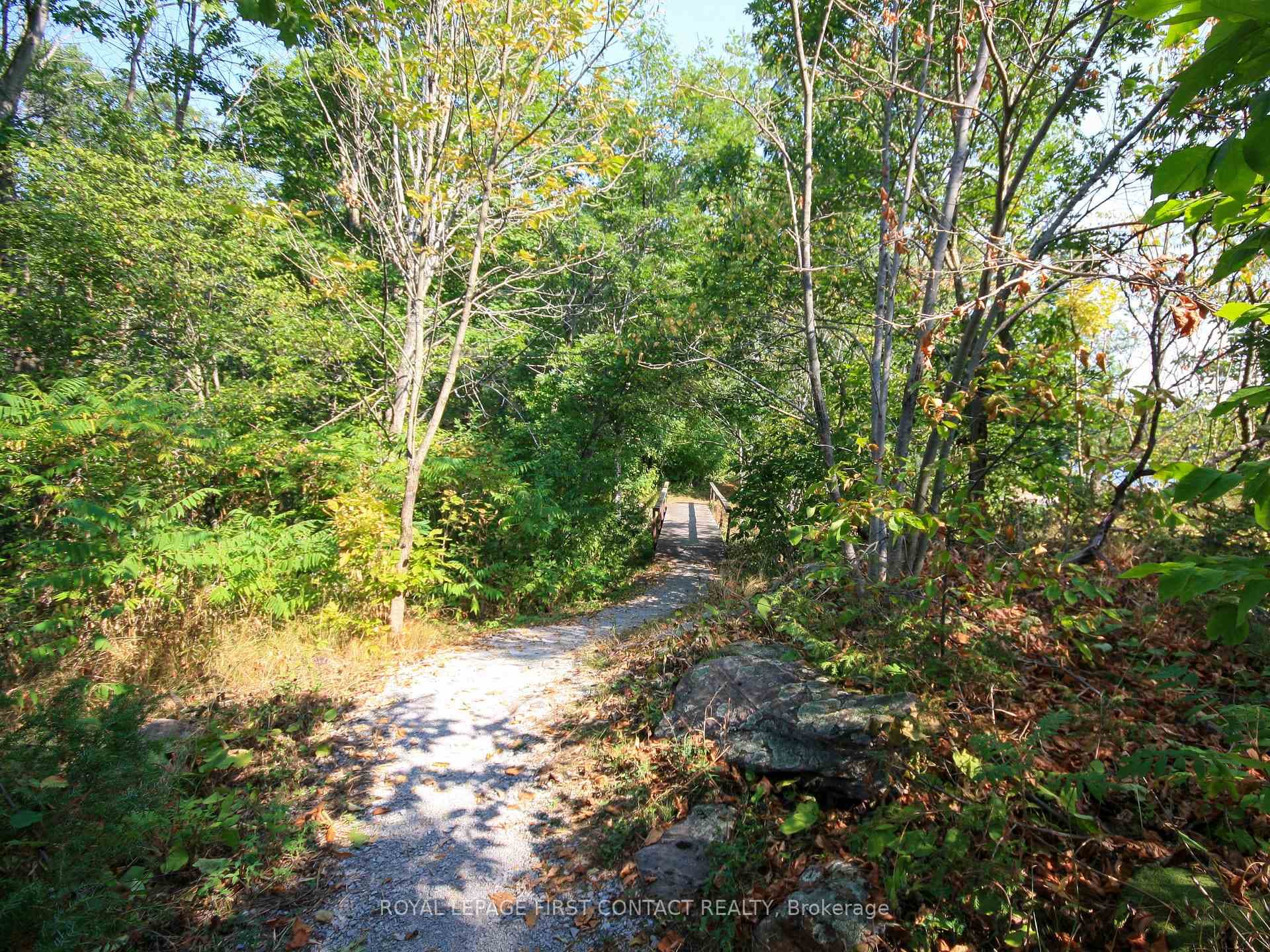 213 Birch Acres Drive photo 24