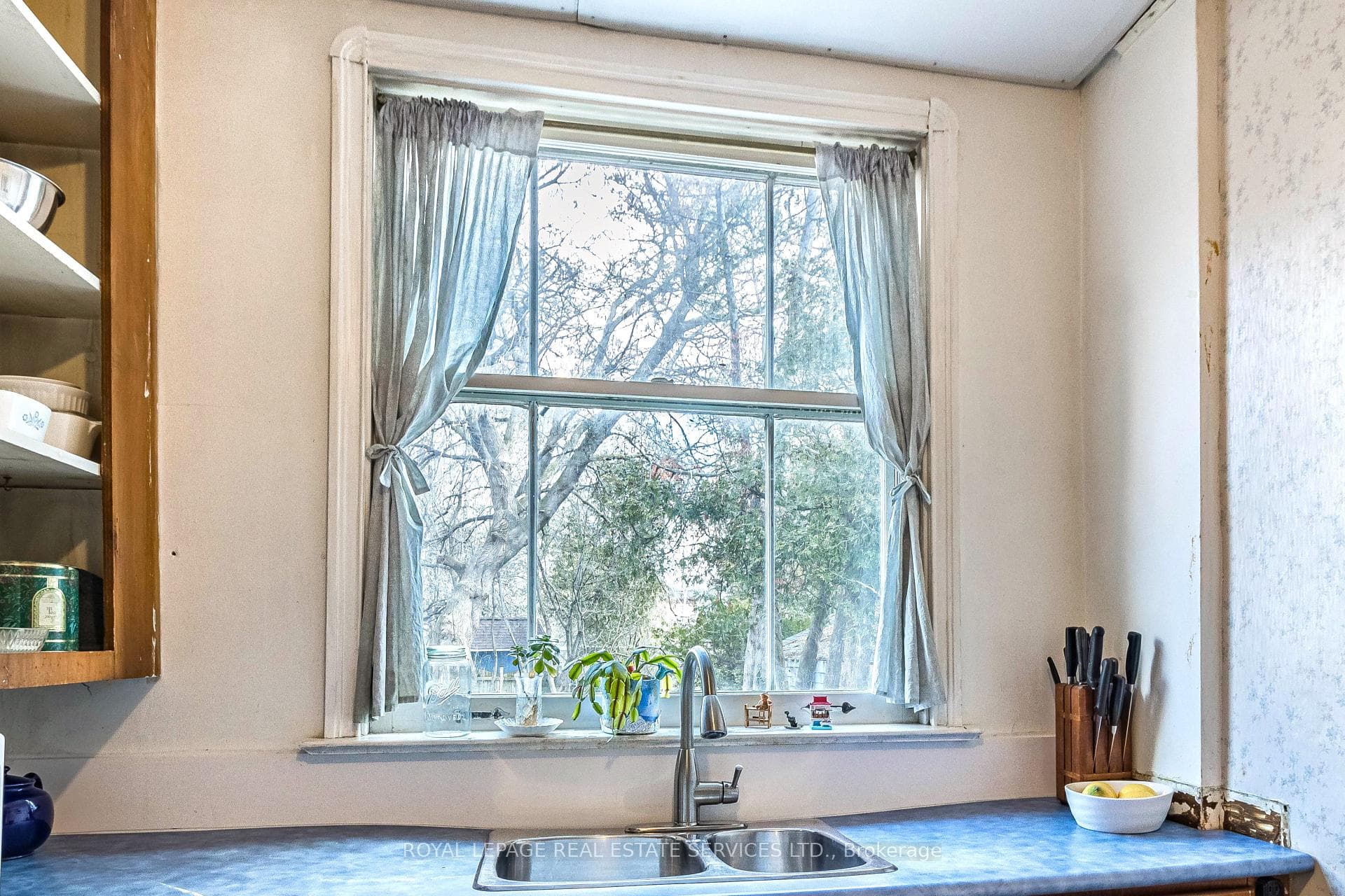 31 Albert Avenue photo 17