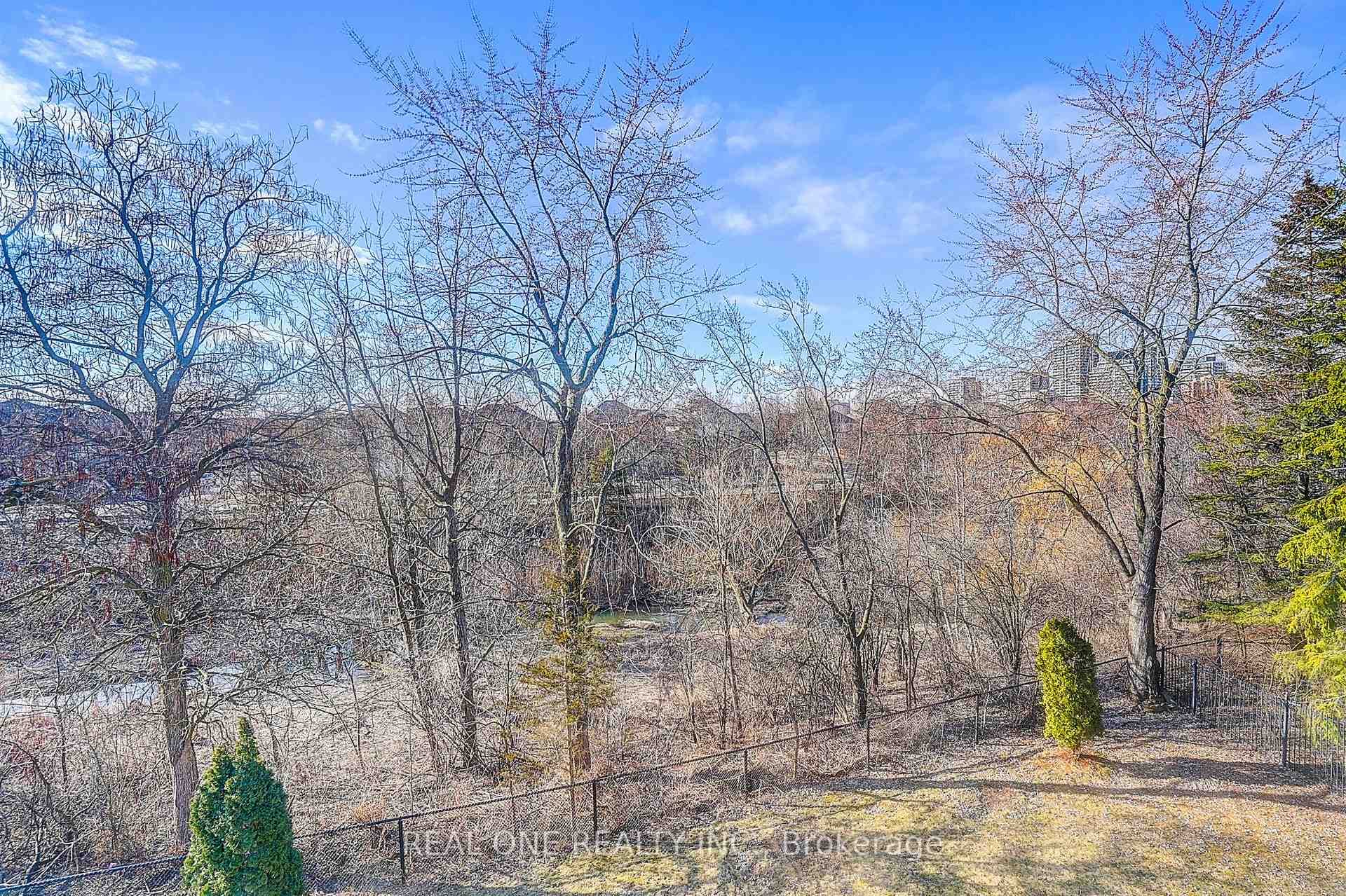 97 Springbrook Drive photo 45