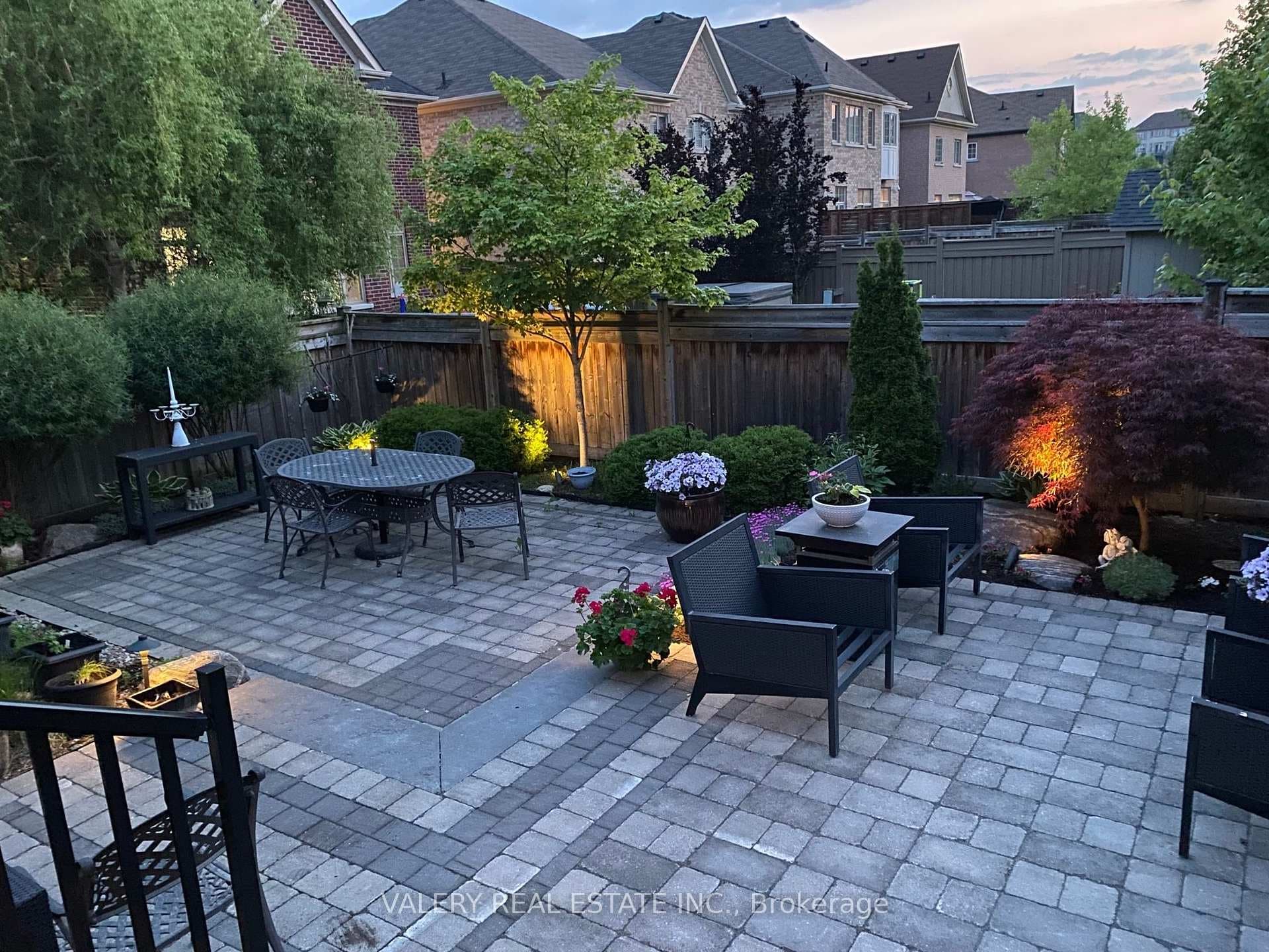 Backyard Summer Evening