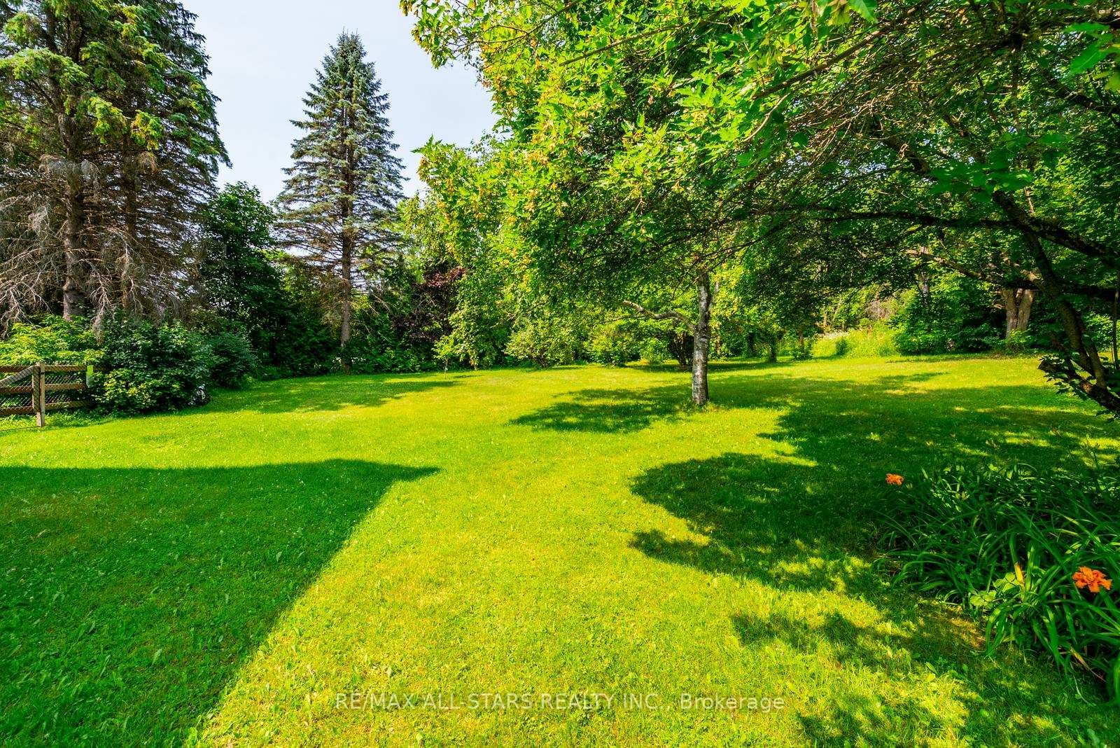 23 Forfardale Road photo 46