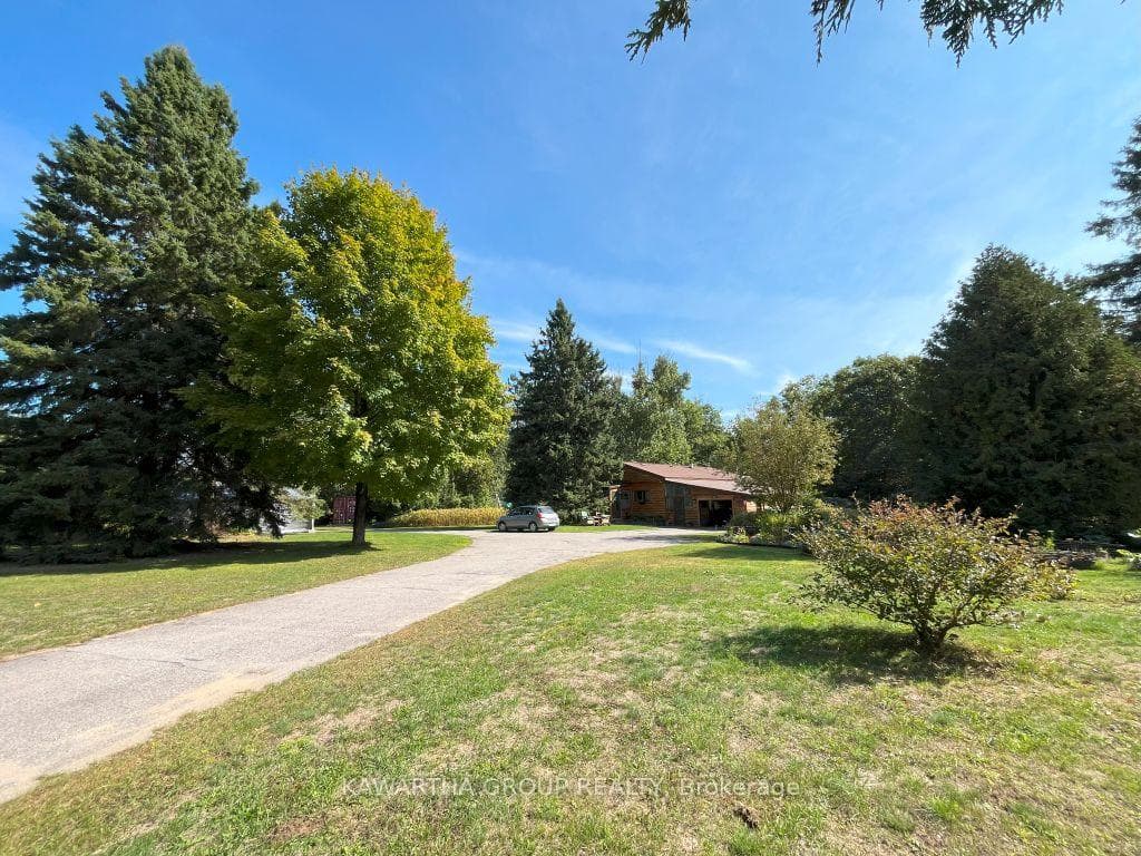 Driveway In