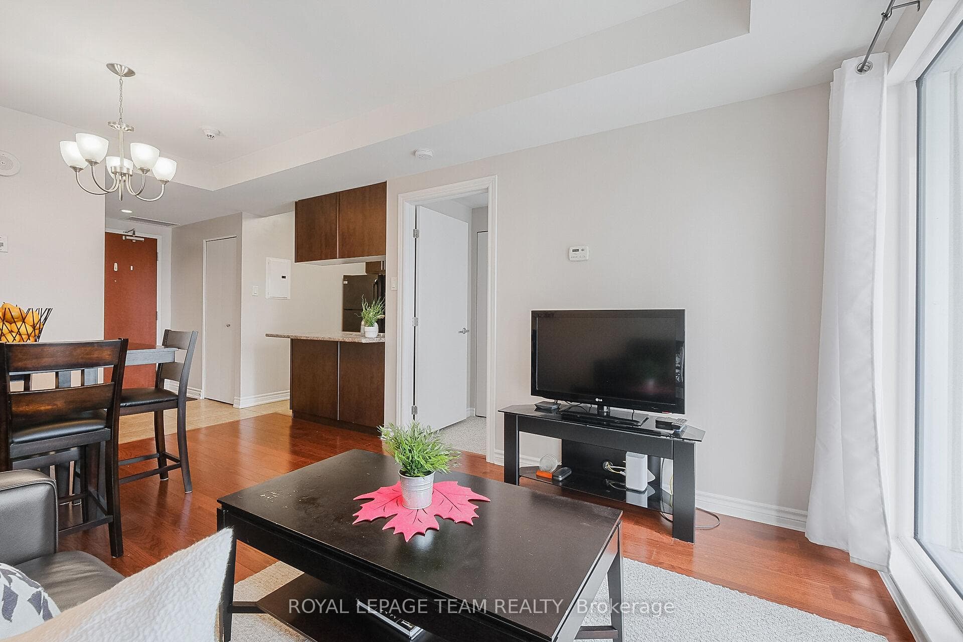 234 RIDEAU Street Unit 1904A photo 13