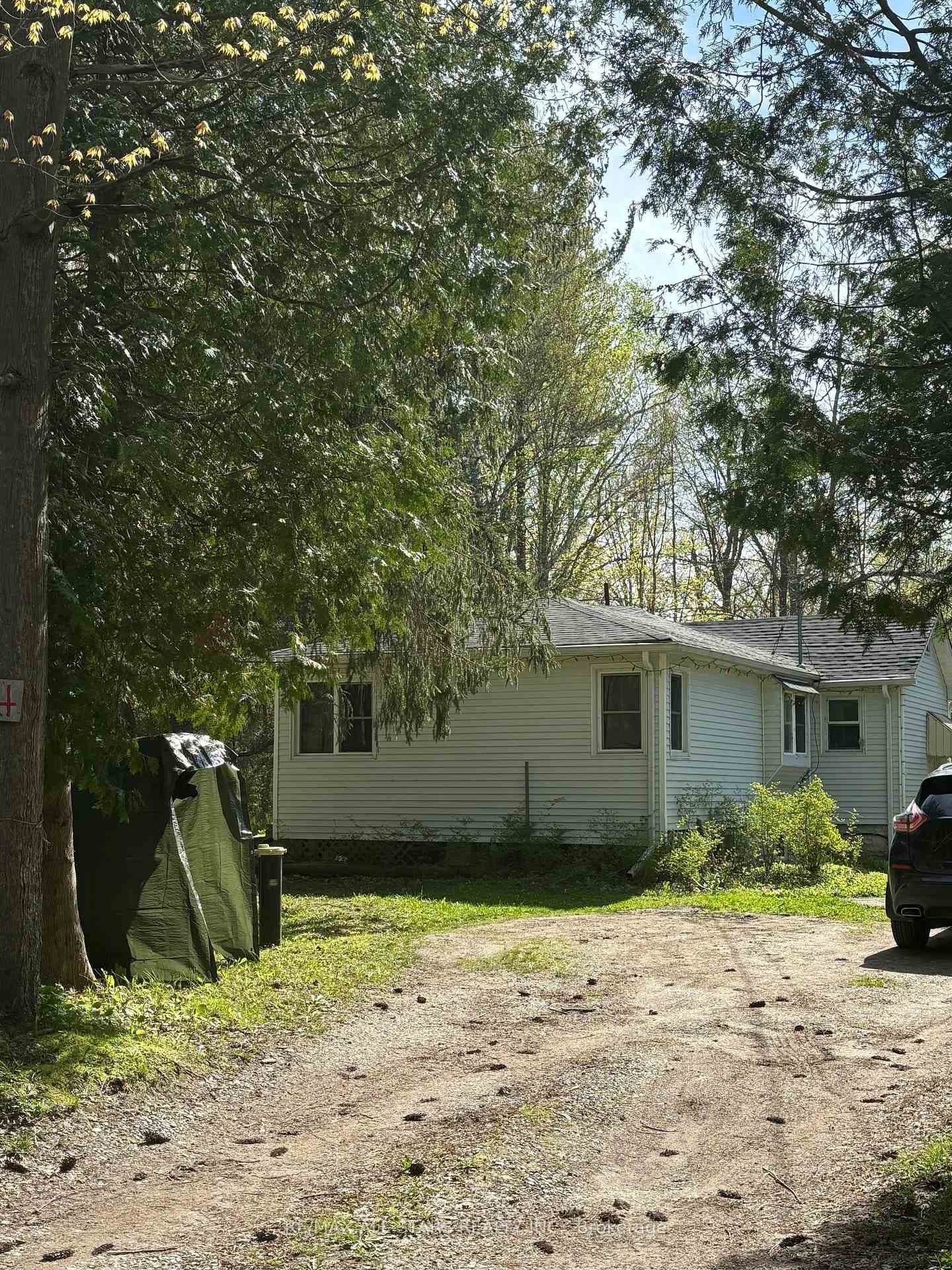 84 Dunkirk Avenue photo 6