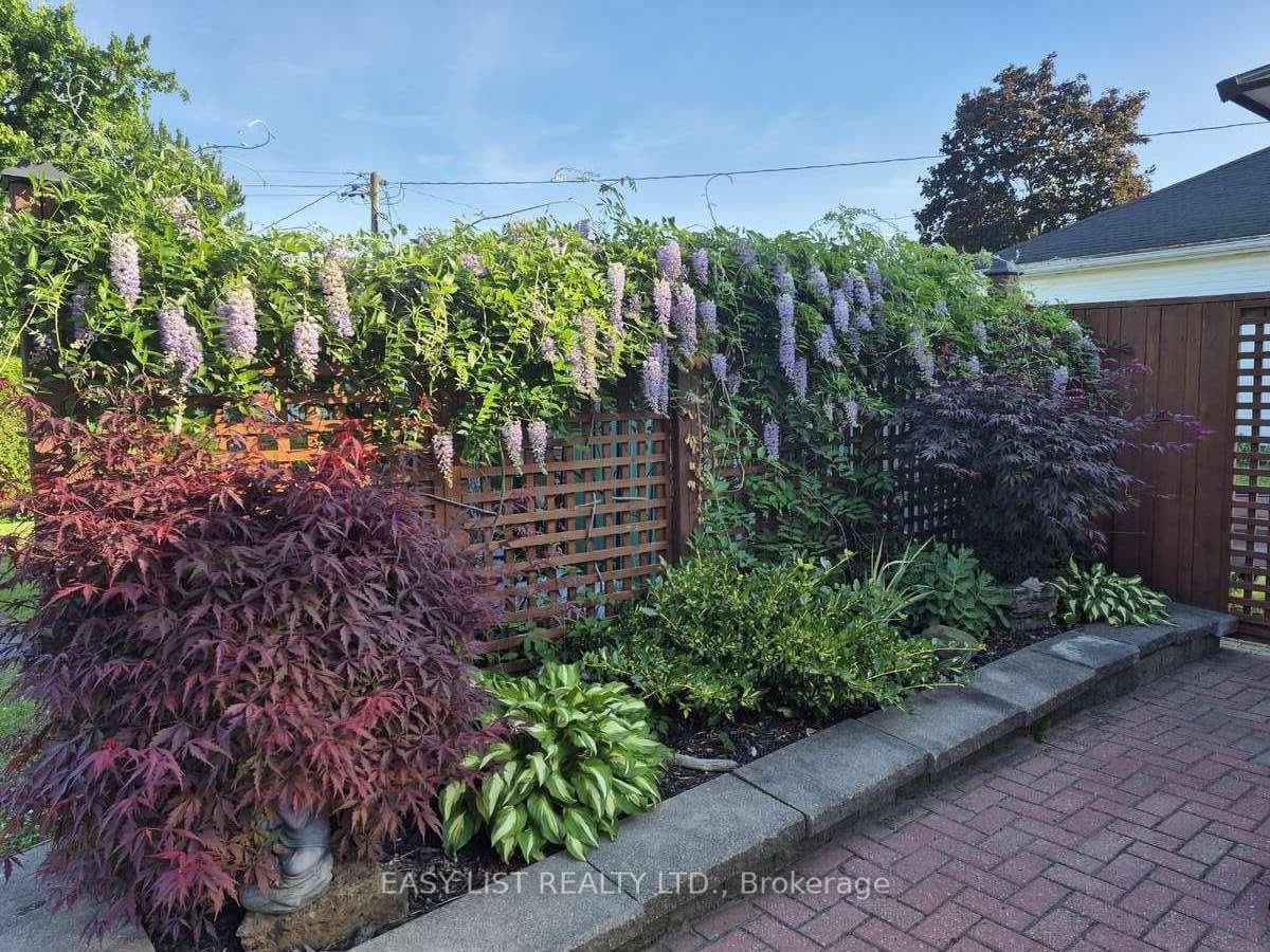 612 Virginia Street photo 6