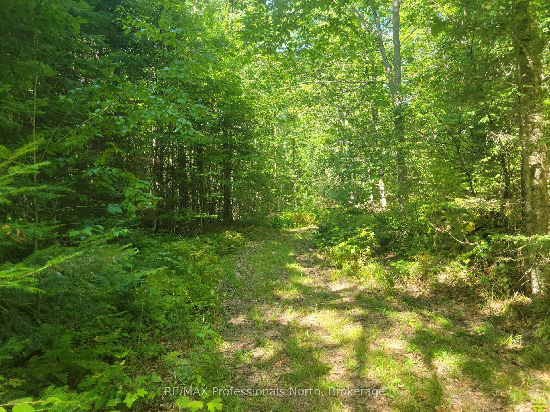 364 FORESTRY TOWER Road photo 32