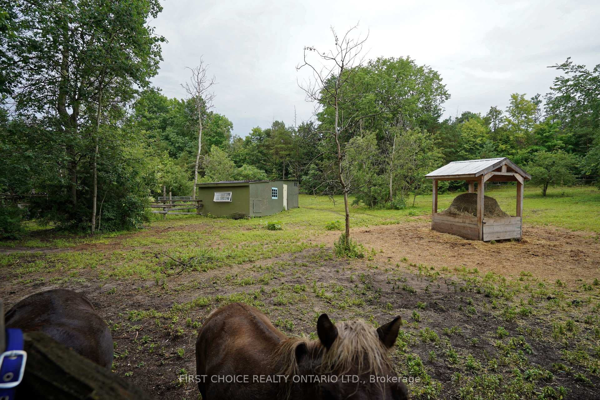 Paddocks, hay house.
