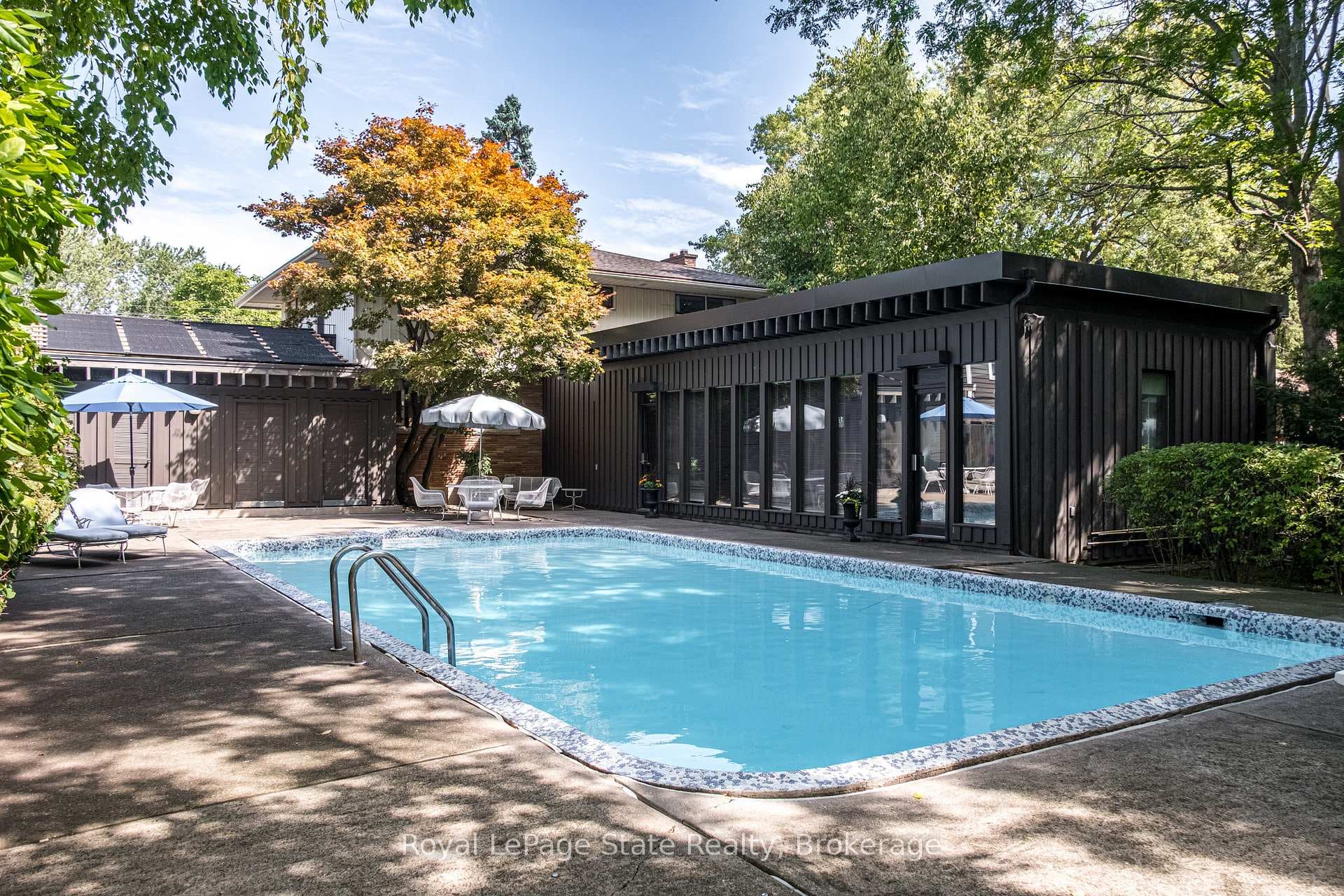 6 Freeland Court photo 41