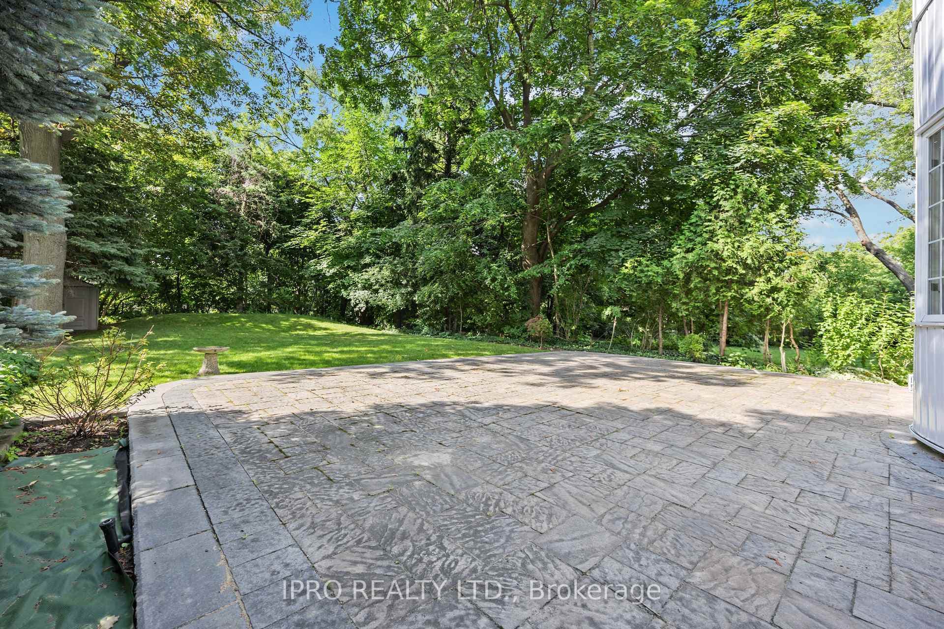 Backyard BBQ area